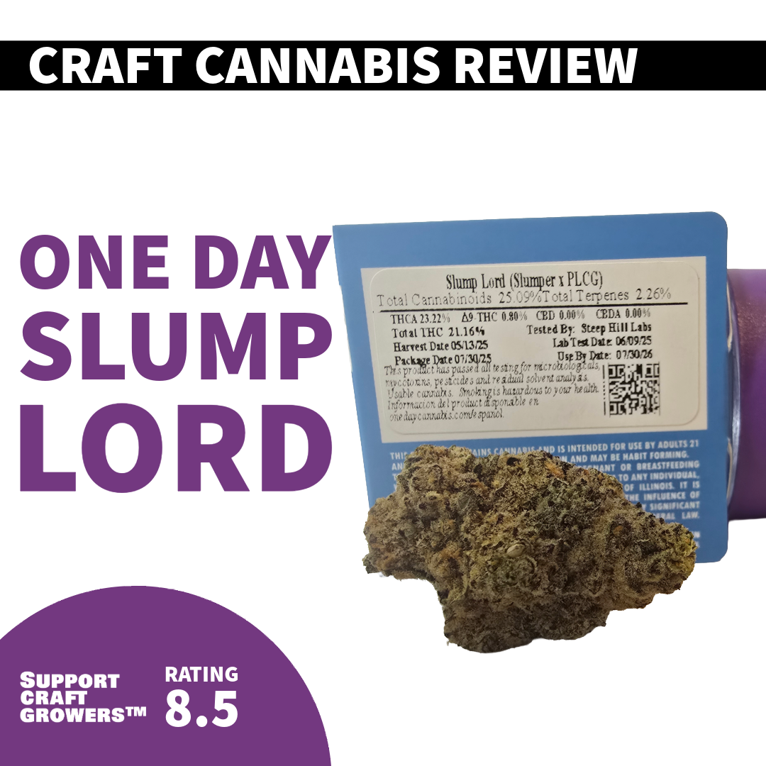 🔥Strain Review: Slump Lord by One Day🔥