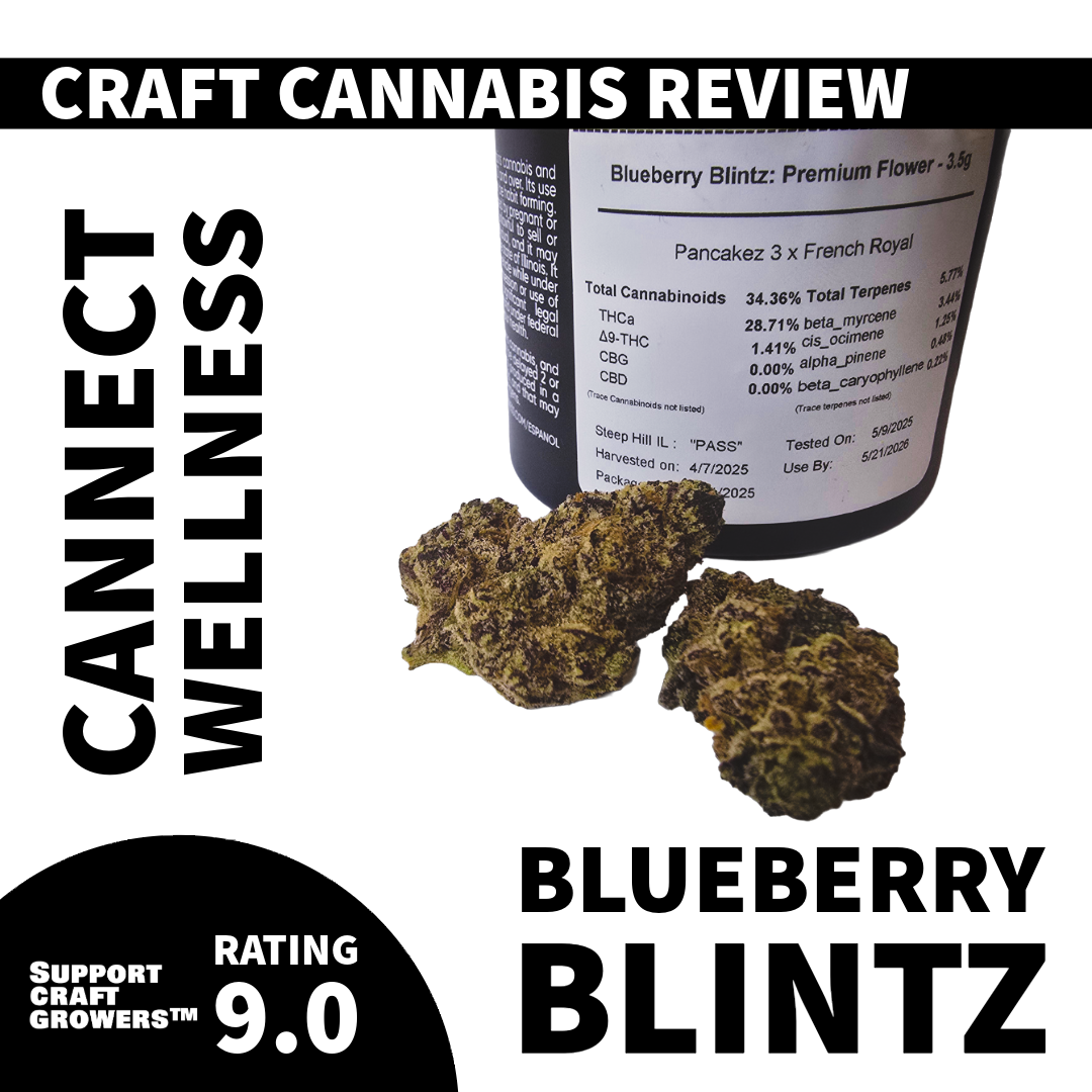 🔥 Strain Review: Blueberry Blintz by Cannect Wellness 🔥