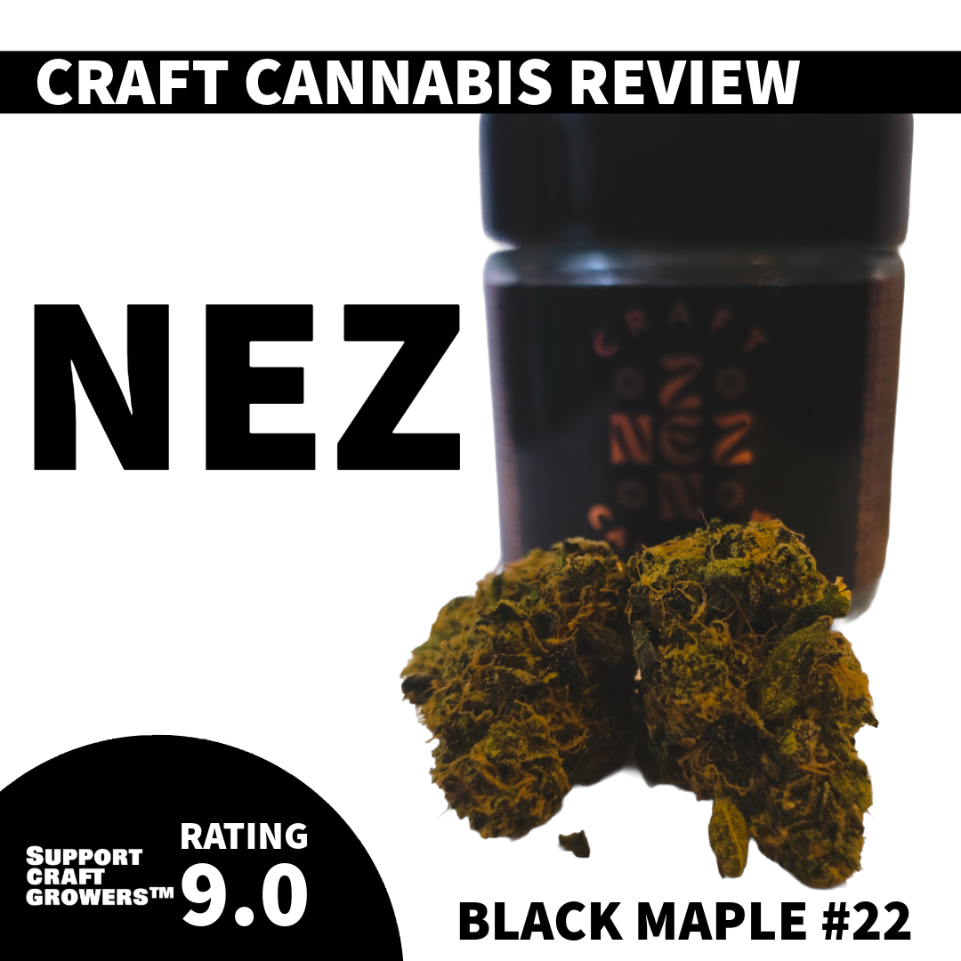 🔥 Strain Review: Black Maple #22 by Nez 🔥