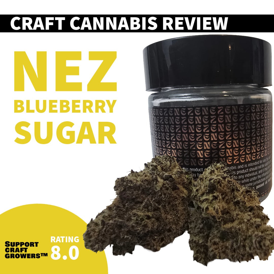 🔥Strain Review: Blueberry Sugar By Nez🔥