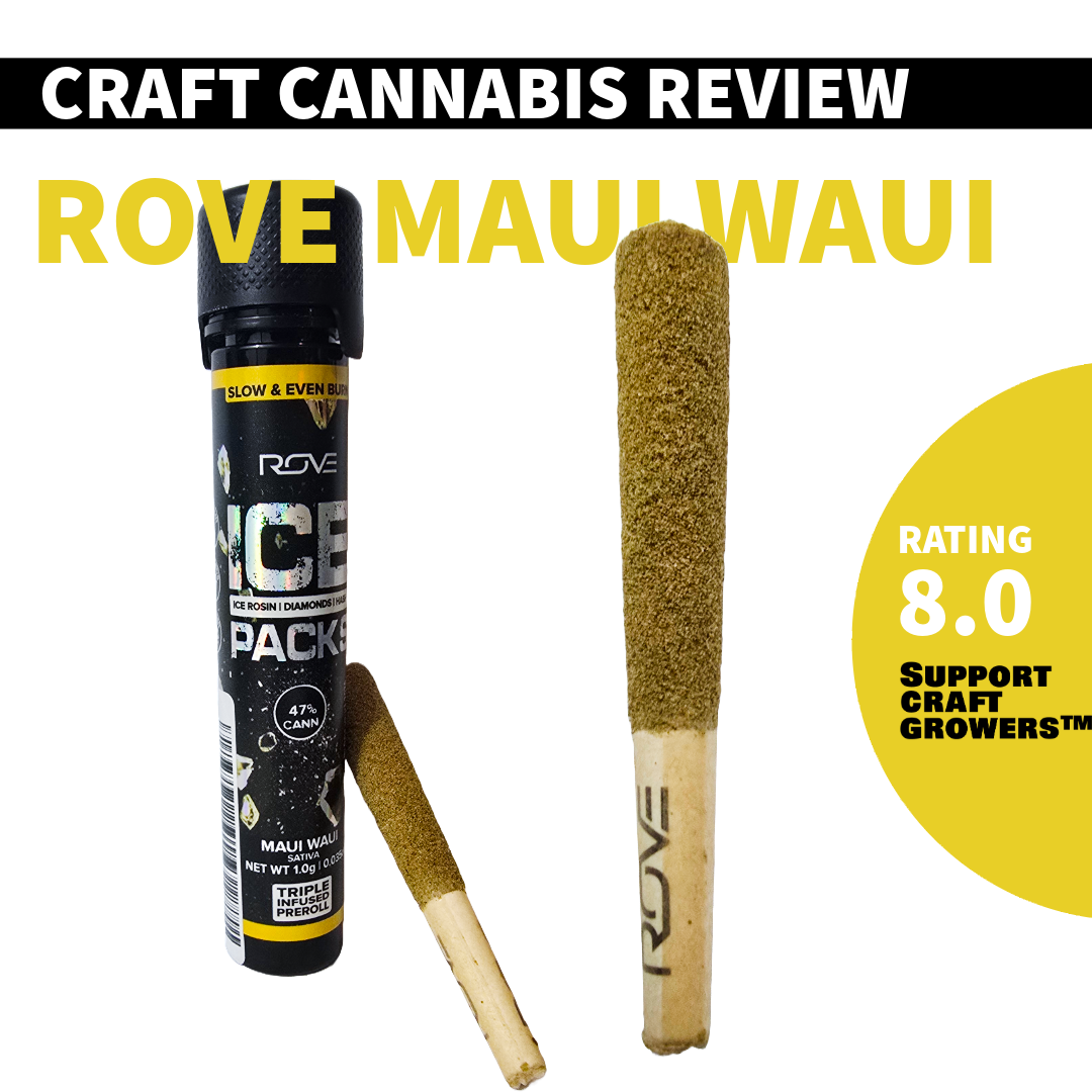 ❄️Product Review: Rove 1G Ice Pack Preroll – Maui Wowi❄️