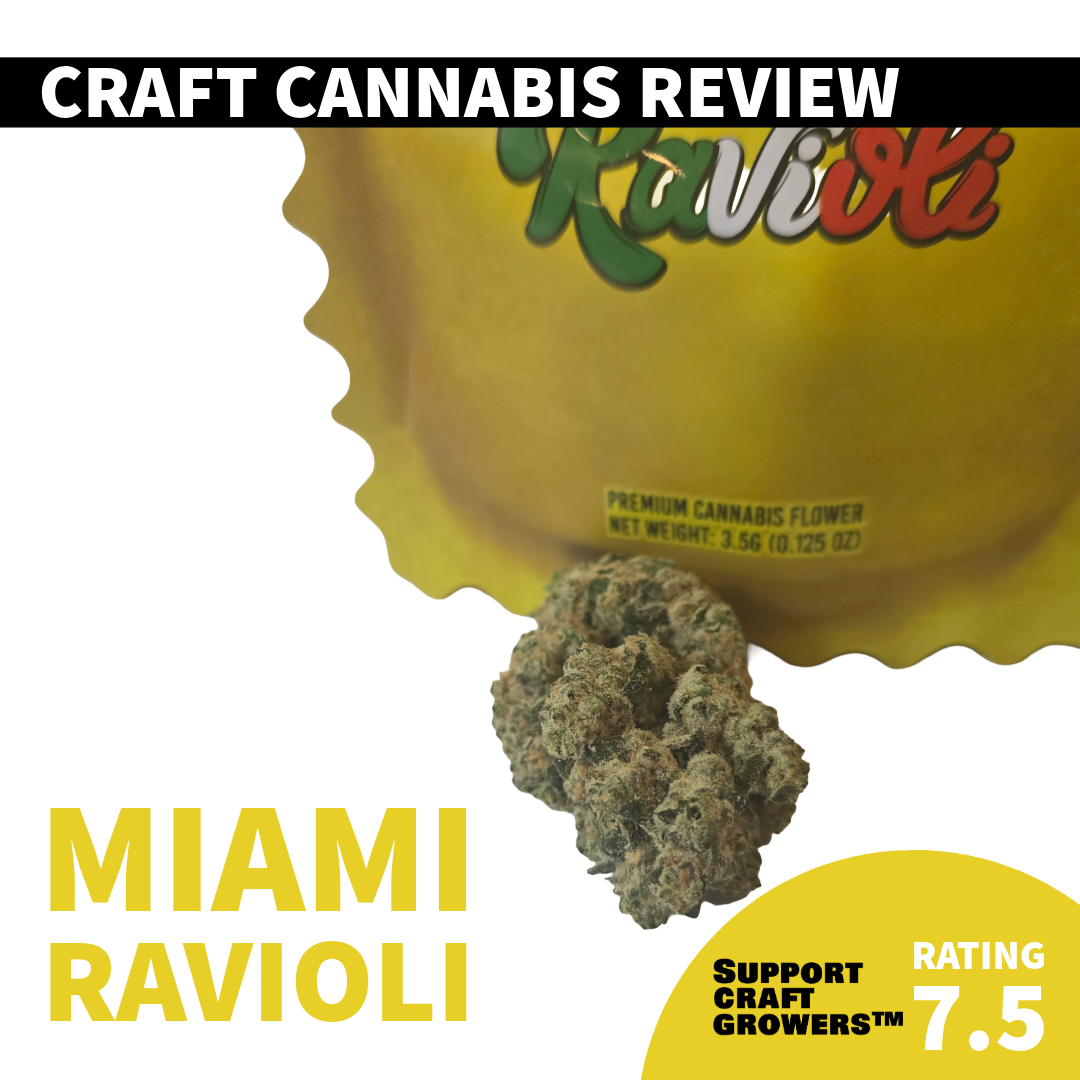 🔥 Strain Review: Miami Ravioli by Ravioli 🔥