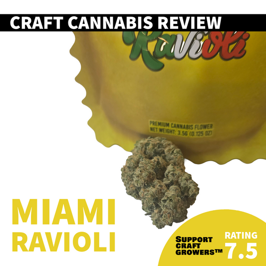🔥 Strain Review: Miami Ravioli by Ravioli 🔥