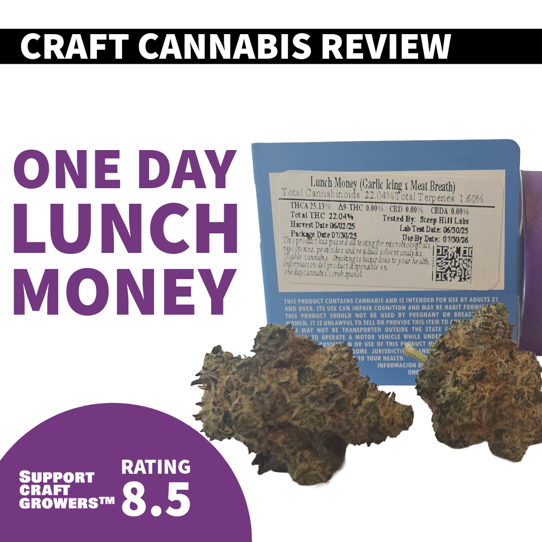 🔥Strain Review: Lunch Money By: One Day🔥