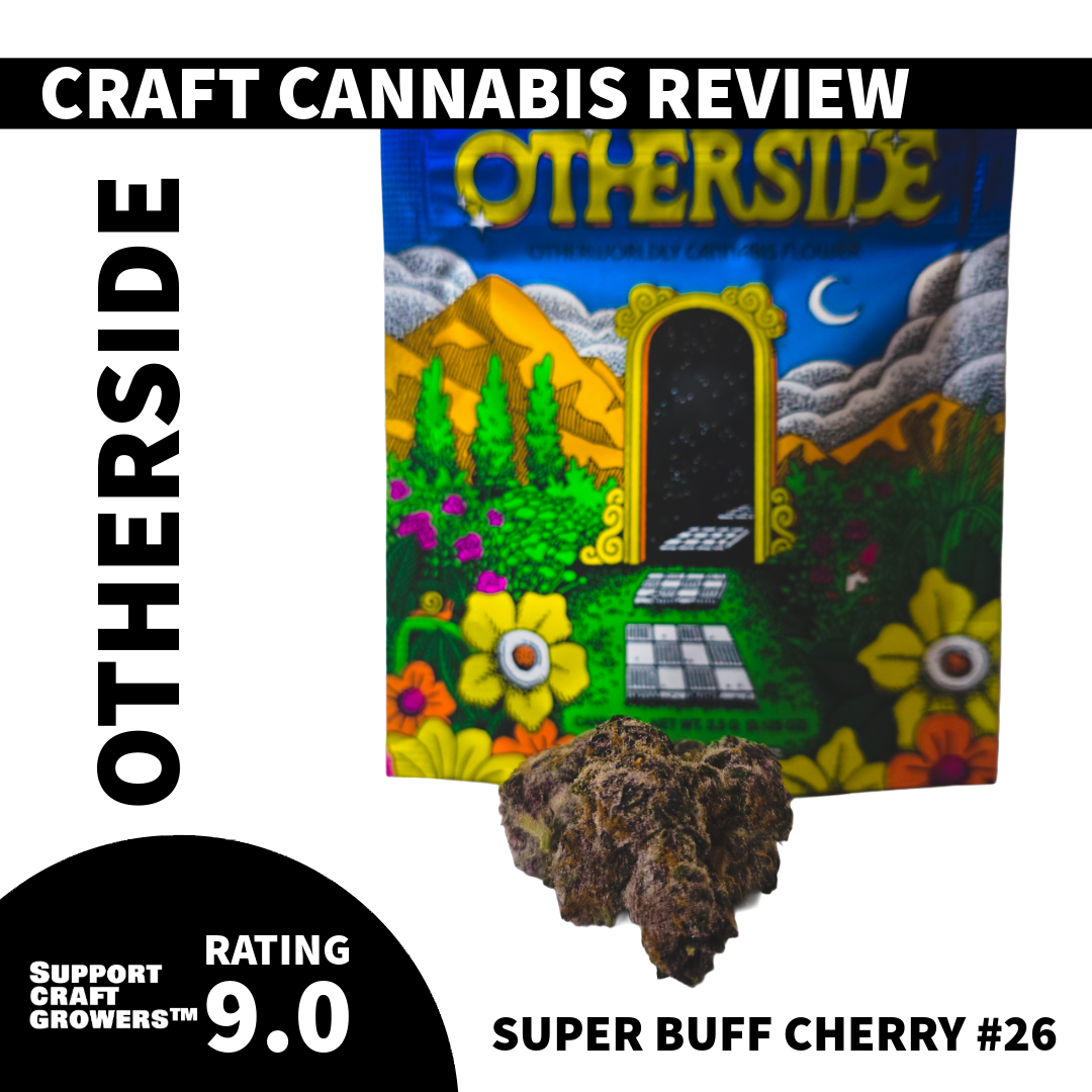 🔥 Strain Review: Super Buff Cherry #26 by Otherside 🔥