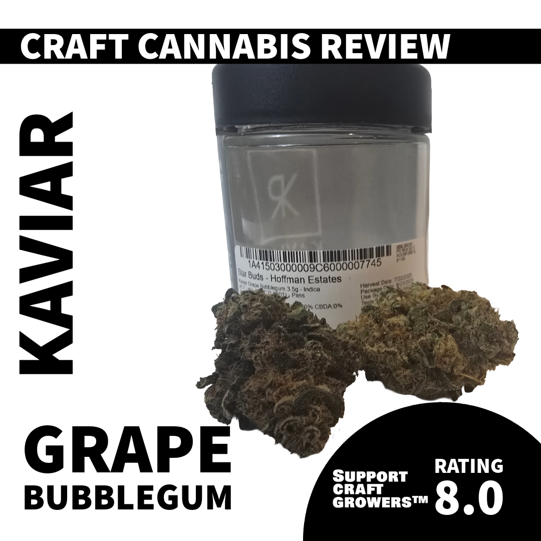 🔥 Strain Review: Grape Bubblegum by Kaviar 🔥