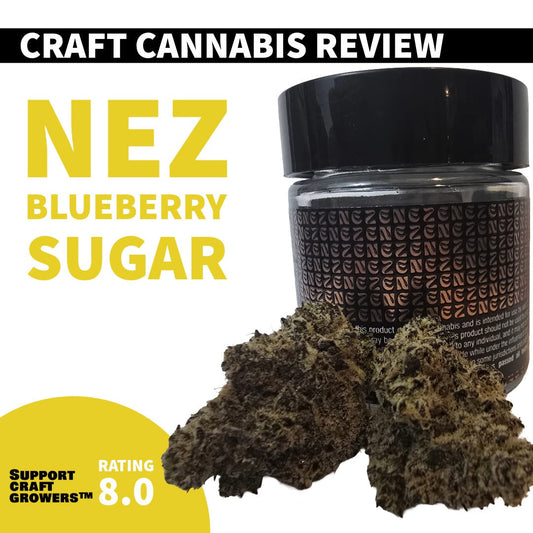 🔥Strain Review: Blueberry Sugar By Nez🔥