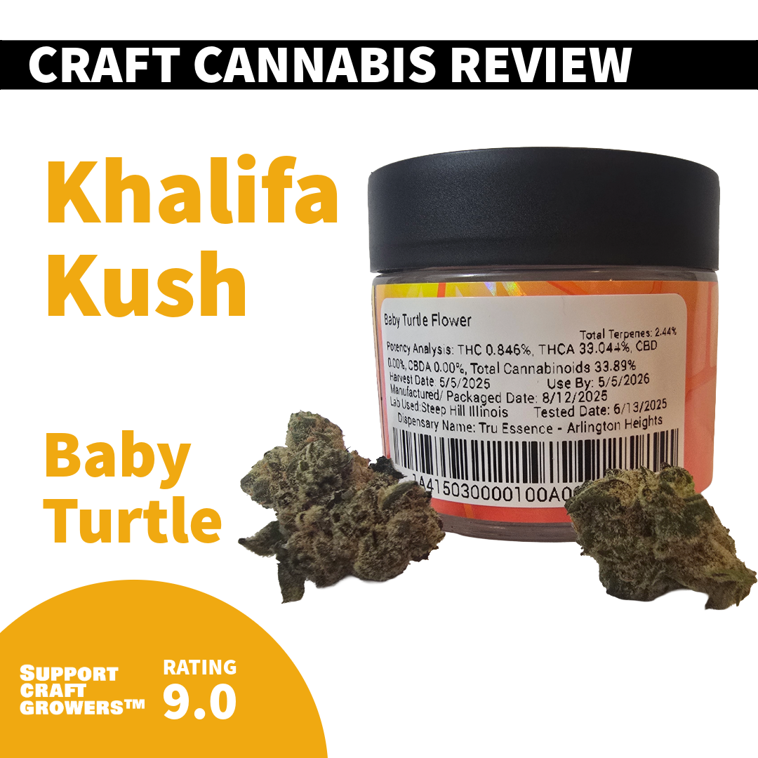 🔥 Strain Review: Baby Turtle by Khalifa Kush 🔥